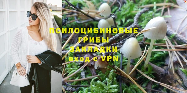 таблы Медногорск