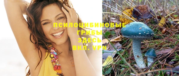 таблы Медногорск
