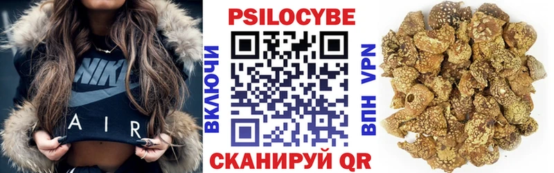 Псилоцибиновые грибы мицелий  MEGA ССЫЛКА  Приволжский  купить наркотики цена 